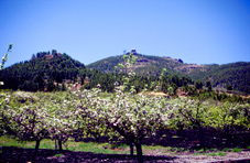 Gran Canaria mit Pozo de las Nieves
